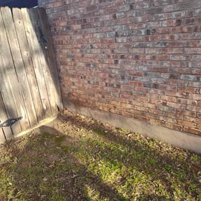 Leaf Removal by Allens lawncare LLC  reviewed on September 21, 2025