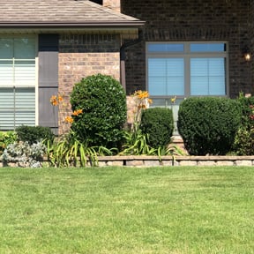 Bush Trimming by Martin LLC reviewed on August 8, 2025