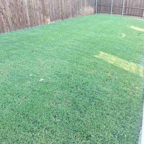 landscaping services by Inspo Lawncare reviewed on August 16, 2025