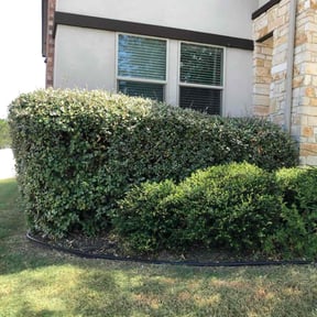 Bush Trimming by Iscape lawn professionals LLC reviewed on November 23, 2025