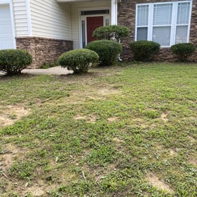 Bush Trimming by Pringle&#039;s landscaping llc. reviewed on May 1, 2024