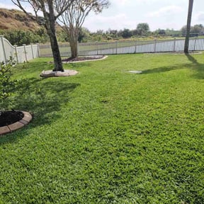 turf maintenance by Aee handymany services reviewed on March 15, 2025