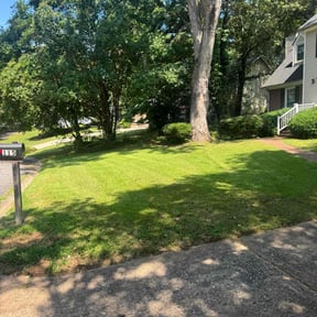 turf care by L&amp;M landscaping reviewed on August 17, 2025