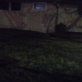 Leaf Removal by Y Not Yardcare, LLC reviewed on September 14, 2025