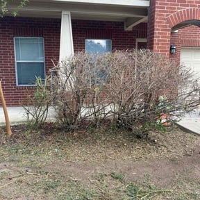 Bush Trimming by Heart Of 4 reviewed on October 20, 2025