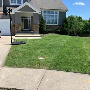 gardening service by SMG LAWN CARE LLC reviewed on August 17, 2025