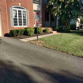 Bush Trimming by Pristine Properties LHS reviewed on December 24, 2024