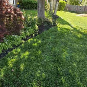 yard maintenance by Thompsons masonry and Home Repair reviewed on December 23, 2021