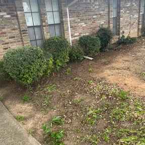 Leaf Removal by Rockmon landscape care reviewed on April 4, 2026