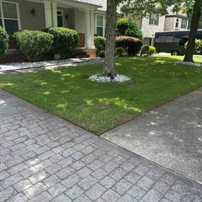 landscaping by Turtle Trims reviewed on August 13, 2025