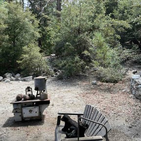 Leaf Removal by Haul Away 901 reviewed on July 18, 2026