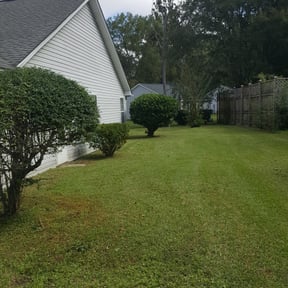 Bush Trimming by Kelly Lawn Care reviewed on August 16, 2025