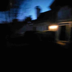 Bush Trimming by Ashe and Sons Landscaping reviewed on November 25, 2025