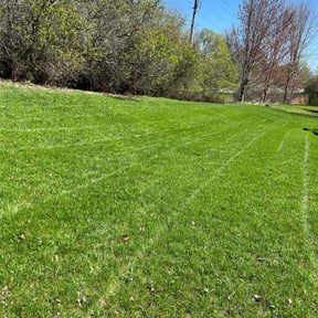 yard maintenance by Eminence Services LLC reviewed on August 15, 2025