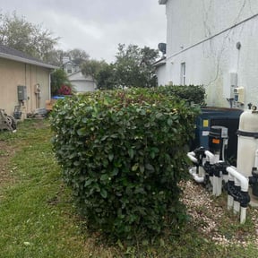 Bush Trimming by Custom Remodeling and Restoration reviewed on August 16, 2025