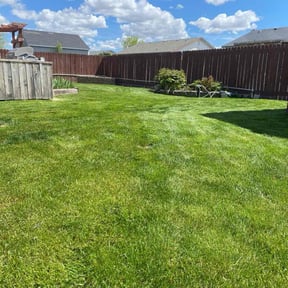 yard maintenance by Torres Lawn Care reviewed on November 23, 2025