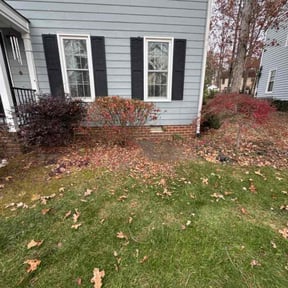 Bush Trimming by Platinum Outdoor Services LLC reviewed on November 30, 2025