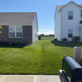 yard work by Dinos Lawn Service reviewed on August 18, 2025