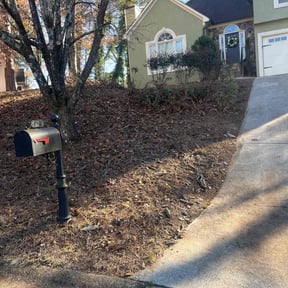 Leaf Removal by Barefoot Lawns reviewed on December 18, 2025