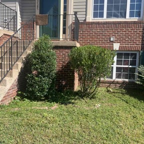 Bush Trimming by Unique landscape reviewed on October 20, 2025