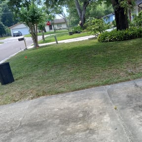 Leaf Removal by Artavius Clark reviewed on August 17, 2025
