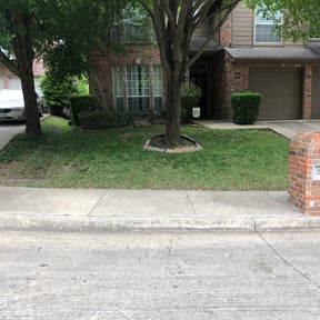 Bush Trimming by TLC Home Pros reviewed on August 15, 2025