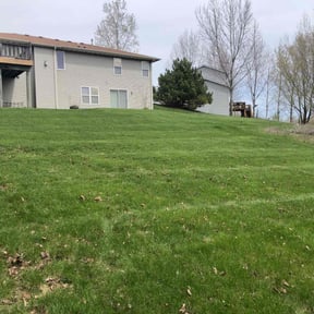 residential landscaping by AYS reviewed on August 15, 2025