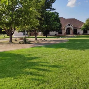 yard service by Wrights handyman services reviewed on August 19, 2025