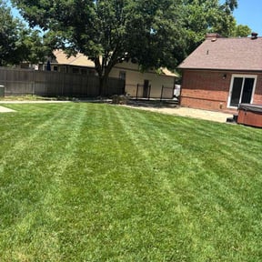yard maintenance by SGP Lawn Services reviewed on April 29, 2025