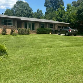 yard maintenance by Land King reviewed on May 6, 2024