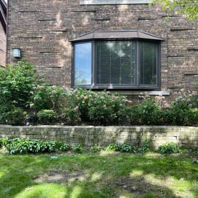 Bush Trimming by Bestway Lawn Care reviewed on August 13, 2025
