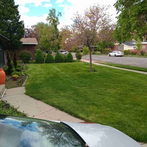 yard work by Pro Cut Lawns LLC reviewed on December 3, 2025
