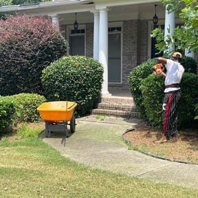Bush Trimming by Mouton Handyman services reviewed on August 21, 2025