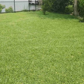 yard care by Big Al’s Lawn Care reviewed on November 20, 2025