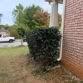 Bush Trimming by Lamarcus Lawncare Maintenance reviewed on July 27, 2023