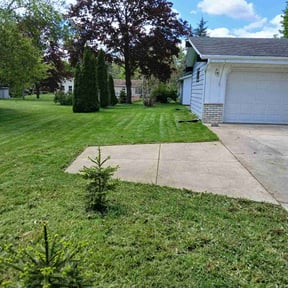 yard care by The lawn Service,LLC reviewed on August 15, 2025