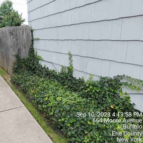 Flower Bed Weeding by Top Dog Lawn Care reviewed on August 19, 2025