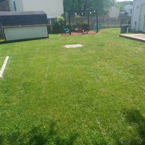 lawn service by Bb Cutts reviewed on April 17, 2024