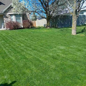 yard work by G&M Landscaping Services reviewed on August 15, 2025