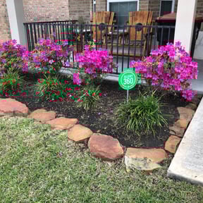 Flower Bed Weeding by Lewis Lawn solutions reviewed on August 19, 2025