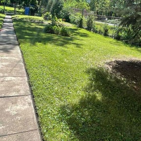 Bush Trimming by People's lawn service reviewed on August 19, 2025