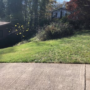 Leaf Removal by Lee&#039;s lawn care services reviewed on September 12, 2025