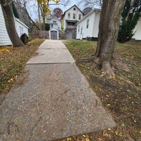 Leaf Removal by Double F Lawns reviewed on September 11, 2026