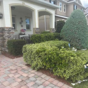 Bush Trimming by Baldwin Premium Lawn Care reviewed on November 24, 2025
