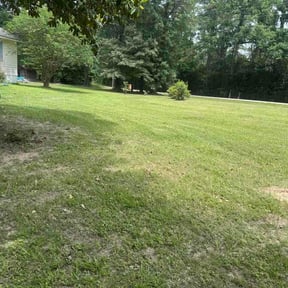 Leaf Removal by Morales landscape and fence Co reviewed on July 25, 2026