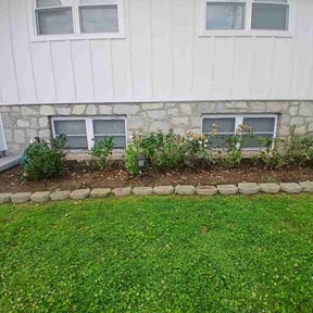 Flower Bed Weeding by Willam Bonavida reviewed on June 7, 2026