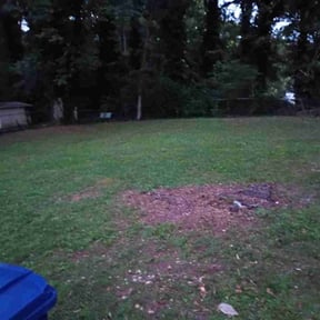 Leaf Removal by The Men With Vision Foundation reviewed on September 17, 2025