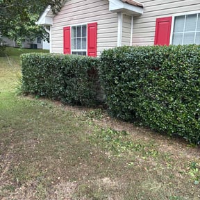 Bush Trimming by Glm landscaping reviewed on October 21, 2025