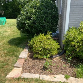 Bush Trimming by Backwood land management reviewed on August 18, 2025