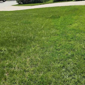 residential landscaping by Nordic mowing reviewed on August 15, 2025